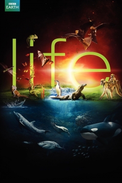 Watch Life Movies for Free