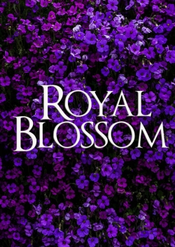 Watch Royal Blossom Movies for Free