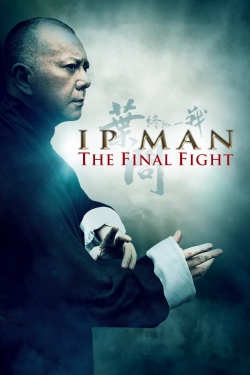 Watch Ip Man: The Final Fight Movies for Free