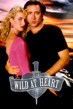 Watch Wild at Heart Movies for Free