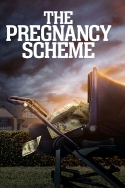 Watch The Pregnancy Scheme Movies for Free