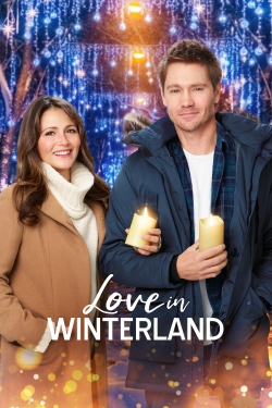 Watch Love in Winterland Movies for Free