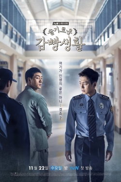 Watch Prison Playbook Movies for Free