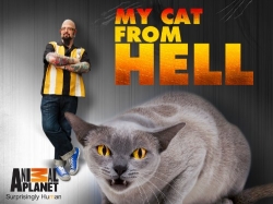 Watch My Cat from Hell Movies for Free