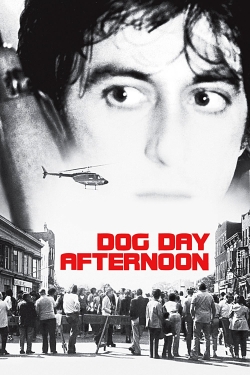 Watch Dog Day Afternoon Movies for Free