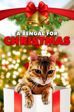 Watch A Bengal for Christmas Movies for Free