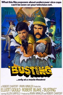 Watch Busting Movies for Free