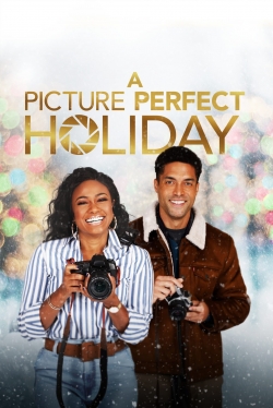 Watch A Picture Perfect Holiday Movies for Free