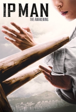 Watch Ip Man: The Awakening Movies for Free
