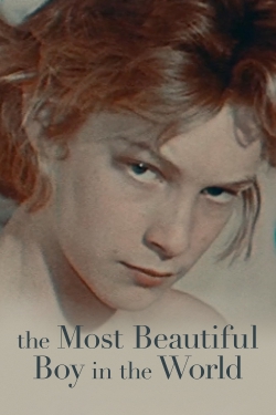 Watch The Most Beautiful Boy in the World Movies for Free