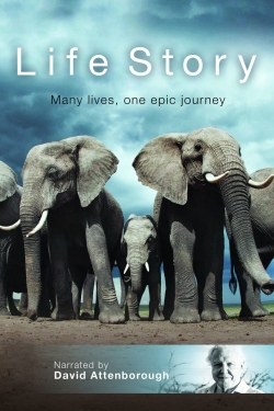Watch Life Story Movies for Free