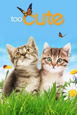 Watch Too Cute Movies for Free