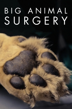 Watch Big Animal Surgery Movies for Free