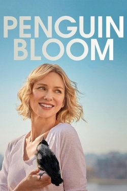 Watch Penguin Bloom Movies for Free