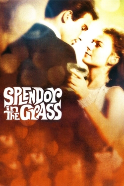 Watch Splendor in the Grass Movies for Free