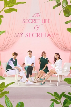 Watch The Secret Life of My Secretary Movies for Free