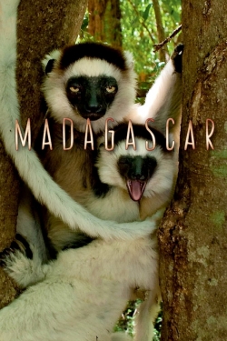 Watch Madagascar Movies for Free