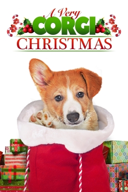 Watch A Very Corgi Christmas Movies for Free