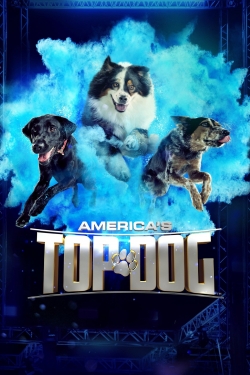 Watch America's Top Dog Movies for Free