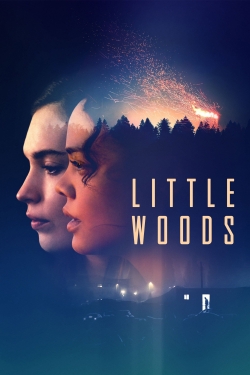 Watch Little Woods Movies for Free