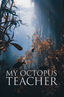 Watch My Octopus Teacher Movies for Free