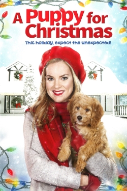 Watch A Puppy for Christmas Movies for Free