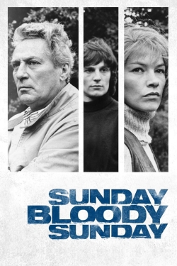 Watch Sunday Bloody Sunday Movies for Free