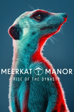 Watch Meerkat Manor: Rise of the Dynasty Movies for Free