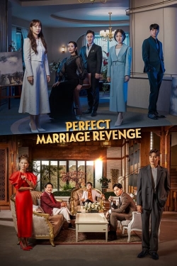 Watch Perfect Marriage Revenge Movies for Free