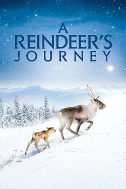 Watch A Reindeer's Journey Movies for Free