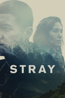 Watch Stray Movies for Free