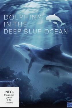 Watch Dolphins in the Deep Blue Ocean Movies for Free