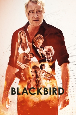 Watch Blackbird Movies for Free