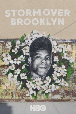 Watch Yusuf Hawkins: Storm Over Brooklyn Movies for Free