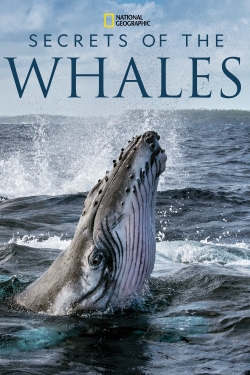 Watch Secrets of the Whales Movies for Free