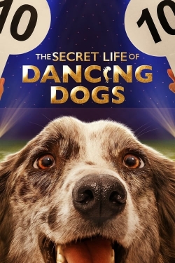 Watch The Secret Life of Dancing Dogs Movies for Free