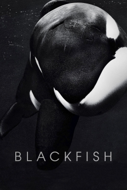 Watch Blackfish Movies for Free