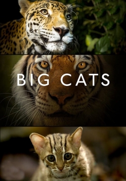 Watch Big Cats Movies for Free