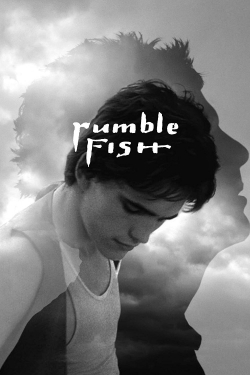 Watch Rumble Fish Movies for Free