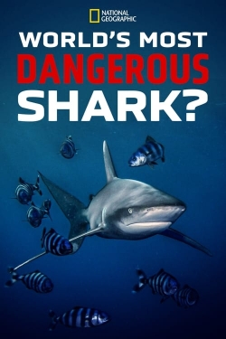 Watch World's Most Dangerous Shark? Movies for Free