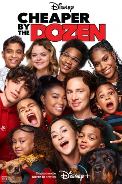 Watch Cheaper by the Dozen Movies for Free