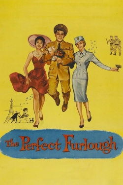 Watch The Perfect Furlough Movies for Free