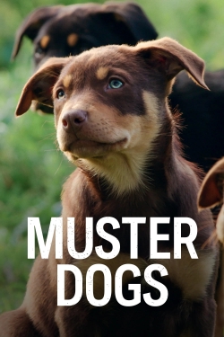 Watch Muster Dogs Movies for Free