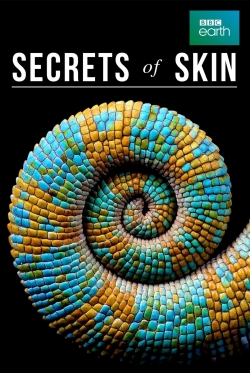 Watch Secrets of Skin Movies for Free