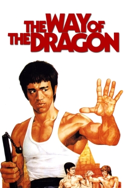 Watch The Way of the Dragon Movies for Free