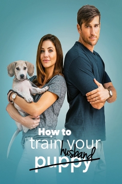 Watch How to Train Your Husband Movies for Free