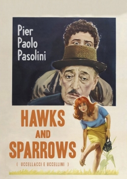 Watch Hawks and Sparrows Movies for Free