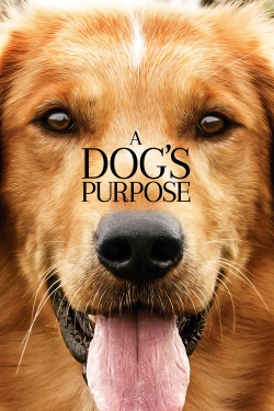 Watch A Dog's Purpose Movies for Free