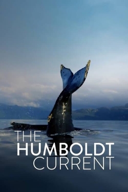 Watch The Humboldt Current Movies for Free