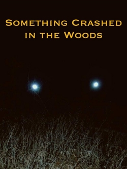 Watch Something Crashed in the Woods Movies for Free